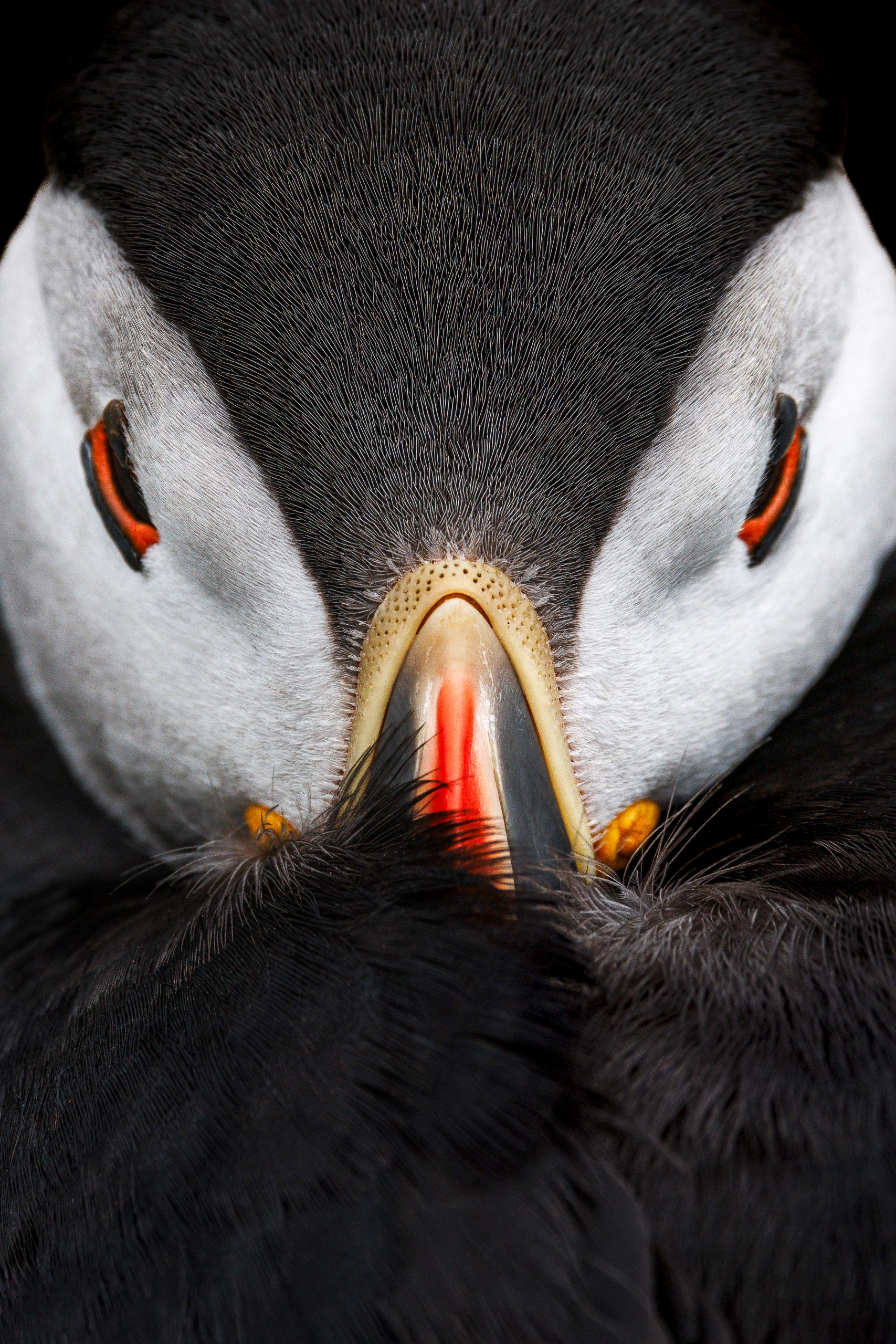 jl_3315-enhanced-sr-edit-edit-15.00.17