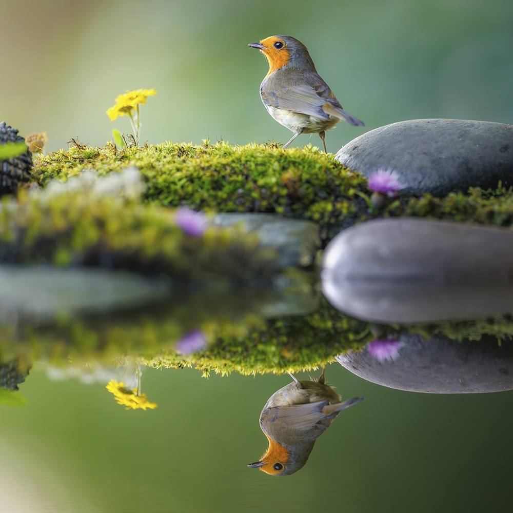 jack-lodge-x-fotofest-26-2